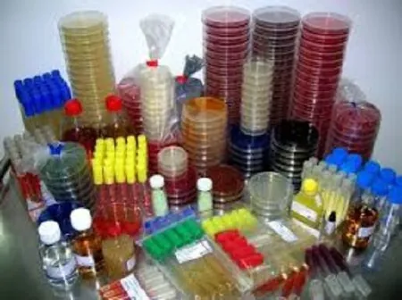 Vidas® Transfer Pipette