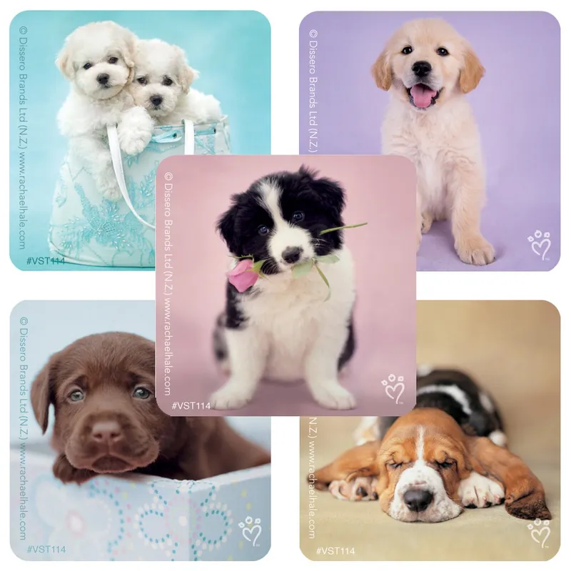 ValueStickers™ 250 per Unit Rachael Hale Dogs Sticker 1.625 Inch