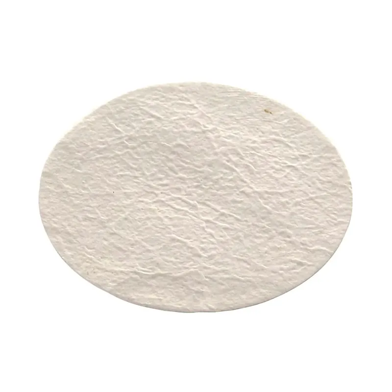 Glass Prefilter Nalgene™ 50 mm Outer Diameter For use with Nalgene™ MF75 Filter Units or Bottle Top Filters