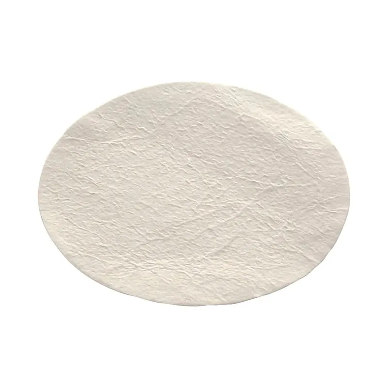 Glass Prefilter Nalgene™ 75 mm Outer Diameter For use with Nalgene™ MF75 Filter Units or Bottle Top Filters