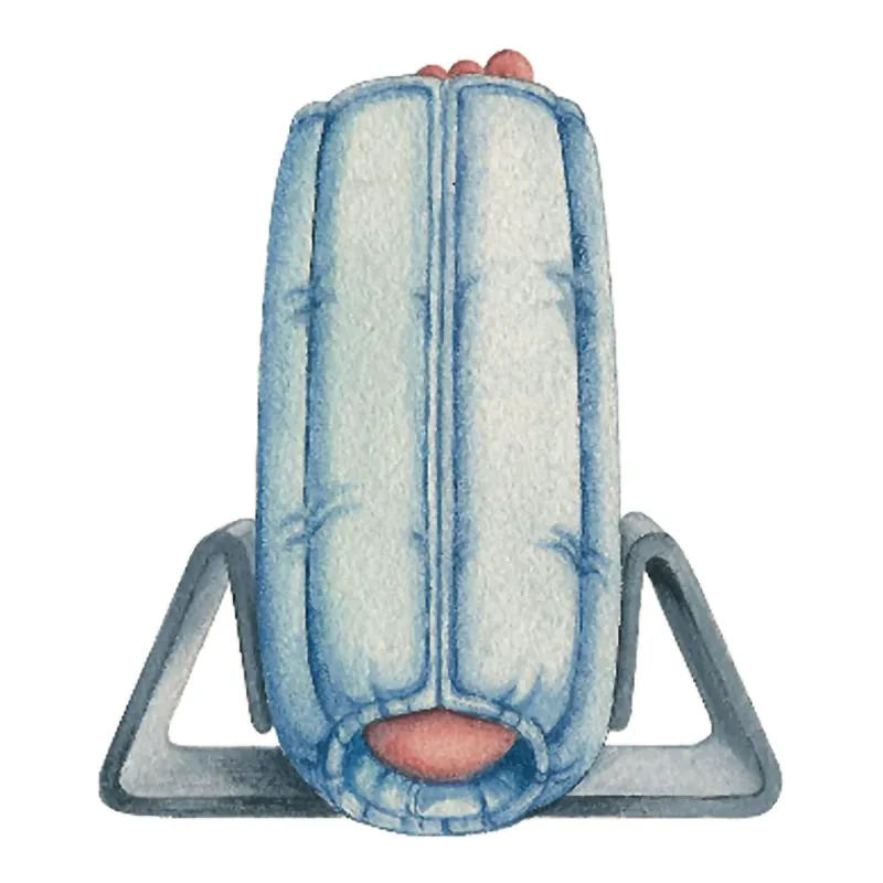 Foot Stabilizer Heel-Float™ Small / Medium Hook and Loop Closure Foot