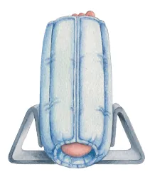 Foot Stabilizer Heel-Float™ Large Without Closure Foot