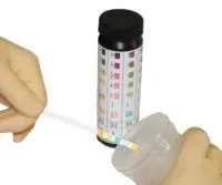 Reagent Test Strip Labstix® Blood, Glucose, Ketone pH, Protein For Urinalysis 100 per Bottle