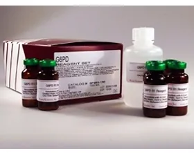 Reagent General Chemistry Glucose R1: 10 X 6 mL, R2: 1 X 120 mL
